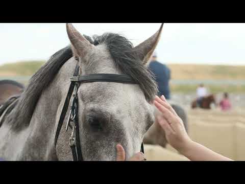 Atların Serenatı, "Yaşamak Umrumdadır" #İsmetÖzel