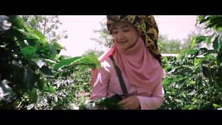 preview picture of video 'Bener Meriah Harmony - Disbudpar Aceh'