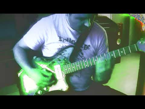 Bird of habibah - Paranormal pigeons