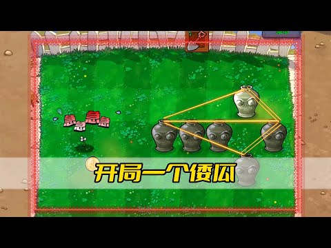 倭瓜意思