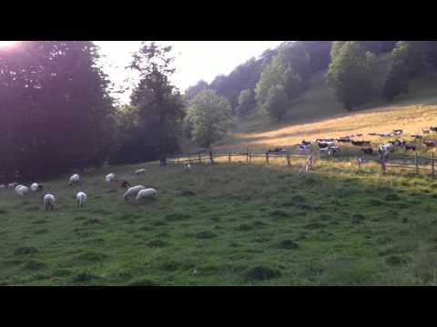 La Bichigiu, în Măguri 2 (Ioan POP, zis a lui Țupu)