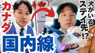 [Foreign airline flight attendant] After her shift, she stays at her mother-in-law's house instea...