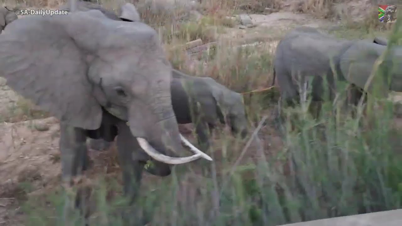 South Africa Today on 18 October 2024