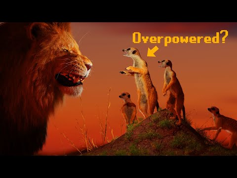 Are Mongooses Overpowered?