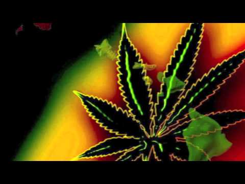 Tribal Seeds - In Your Eyes
