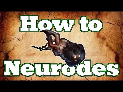 image-Where can I farm Neurodes?