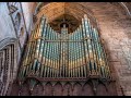 Edward Taylor plays 'Pro Defunctis' from 7 Improvisations by C. Saint-Saëns
