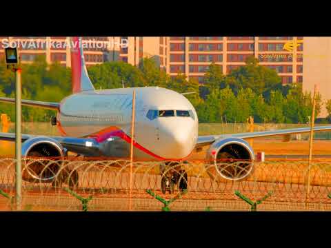 30 MINUTOS DE TAXA DE PEQUENAS AVES NO AEROPORTO INTERNACIONAL DE HONGQIAO, XANGAI - PARTE 2.