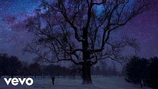 Jonathan Facka - The Tree (Official Video) ft. Thalia Tymowski