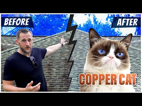 Roofing Cleaner Review: Copper Cat (roof algae removal)