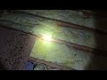 Attic Filled with Feces From Mice in Point Pleasant Beach, NJ
