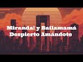 LETRA/LYRICS - DESPIERTO AMÁNDOTE - BENIDORM FEST 2026