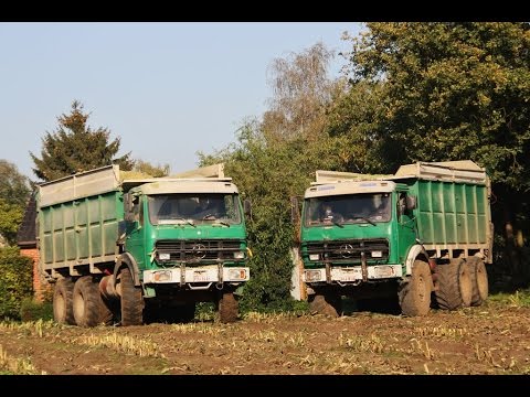 Loonw. Goris - Schriek