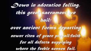 Adoration Music Video