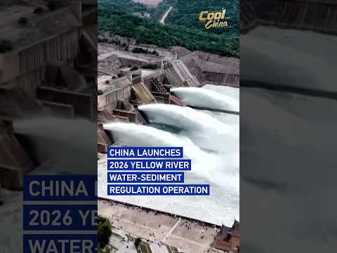 China launches 2026 Yellow River water-sediment regulation operation #coolchina