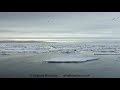 Essence of the Arctic:Pushing through the ice floes