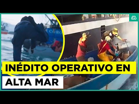 Testigos en la frontera | Inéditos registros de operativo contra los 'Gatos del mar'