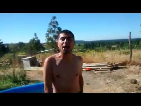 Saludos de Gato MC a Bajo Tarima 2015