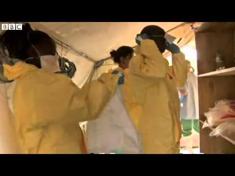 BBC News  Africa's Ebola outbreak 'out of control', warns MSF