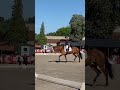 IRU DE NARBON Superbe PRE