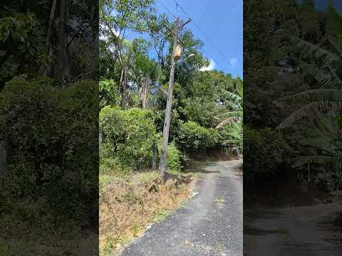 CHEGANDO NOVIDADES! 24.200m² em Campina Grande do Sul,frente pra BR, corredeiras de água.