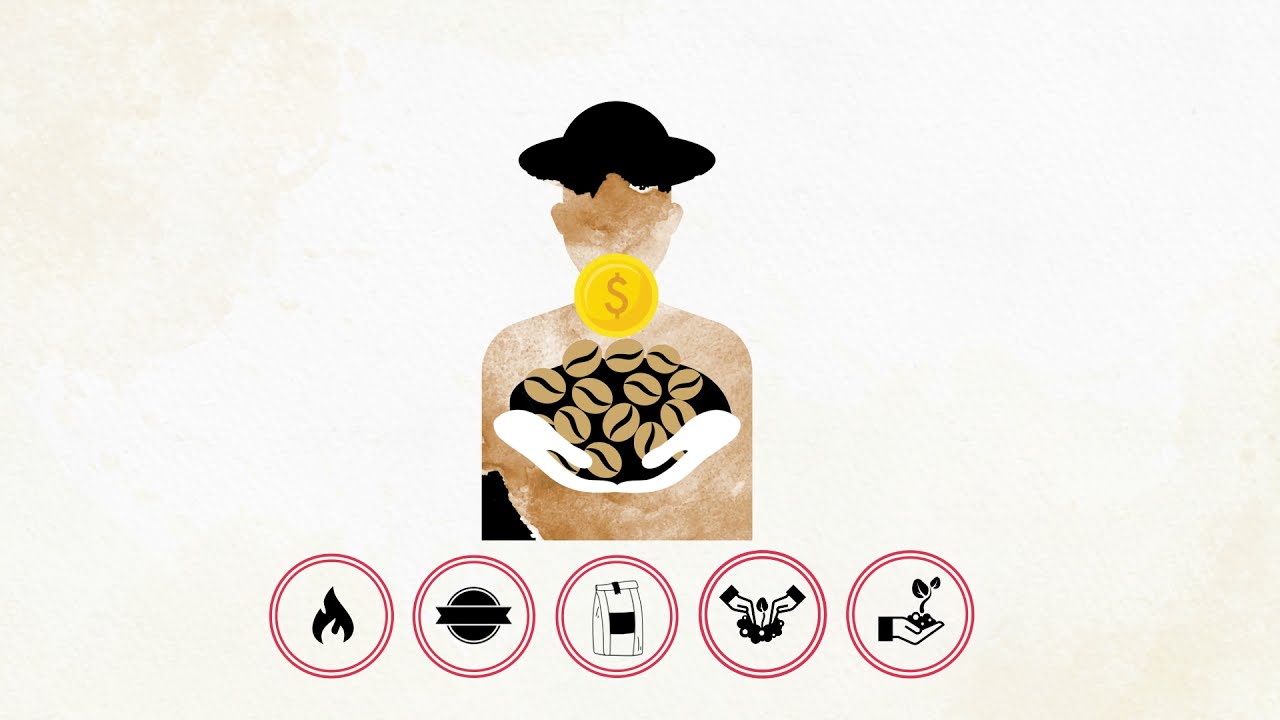 What exactly makes Solino Coffee special?