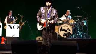 "What Am I Supposed To Do?" ~ The Mavericks