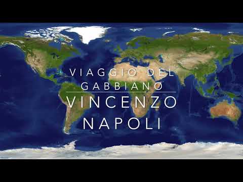 VIAGGIO DEL GABBIANO - Vincenzo Napoli