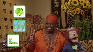 “Seedlings” Series Episode 08