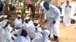 Laze Lavuka iDimoni lami