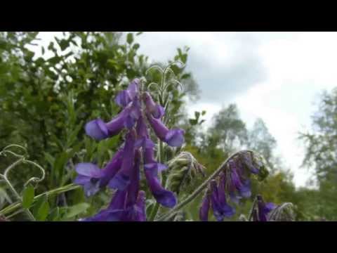 An der Niedernberger Seenplatte