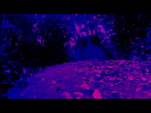 BASSTOR ANSGARIUS - ShoeGazer