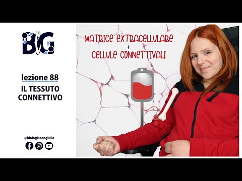 Il TESSUTO CONNETTIVO