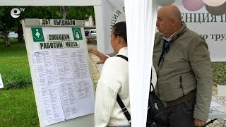Все по-голям недостиг на млади кадри в различните браншове в Кърджали