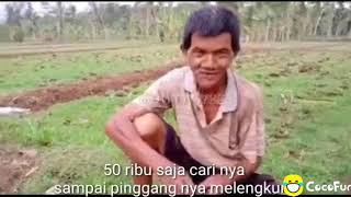 Download lagu Story wa ig aku pancen wong cilik dudu rojo mp3 Download lagu Story wa ig aku pancen wong cilik dudu rojo mp3