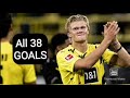 ALL 38 goals from Haaland (SCORE)