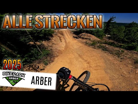 All Tracks | All Tracks 2025 [Arber] 4K