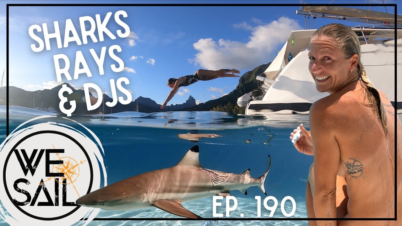 Sharks, Rays & DJs | Episode 190