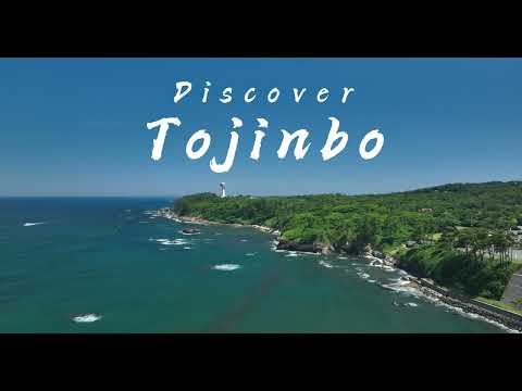 Undiscovered Japan: Tojinbo a Hidden Gem off the Beaten Path