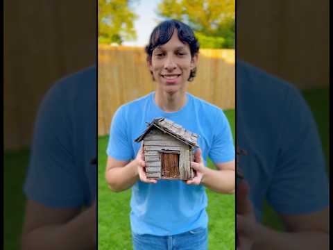 A casa do meu doguinho desabou, então acabei dando uma mansão para ele! 😱🏠