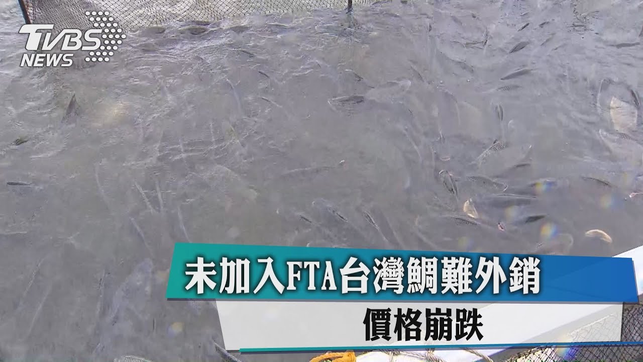 未加入FTA台灣鯛難外銷 價格崩跌