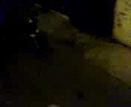 bauti vs malisia pelea