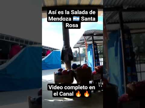 Esta es  la Salada de Mendoza 🇦🇷 Santa Rosa #barato #emprendedores  #shortvideo  #shorts