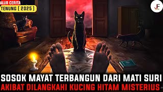 Download lagu THIS FILM IS ADAPTED FROM A HORROR NOVEL BY RISA SARASWATI & DIMASTA‼️| Tenung Storyline (2025) mp3