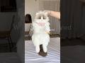 Do you like Ragdoll cat?#chongker #catbag #gifts