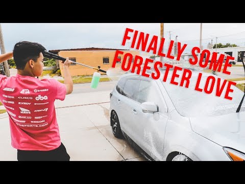 New Forester Tail Lights