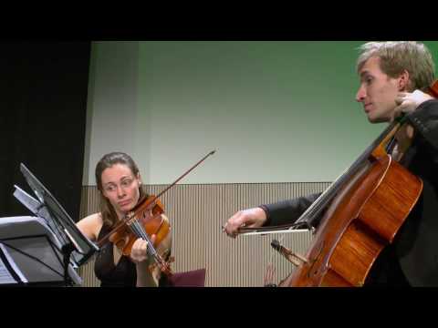 KONCZ QUARTETT - DVOŘÁK, Zypressen