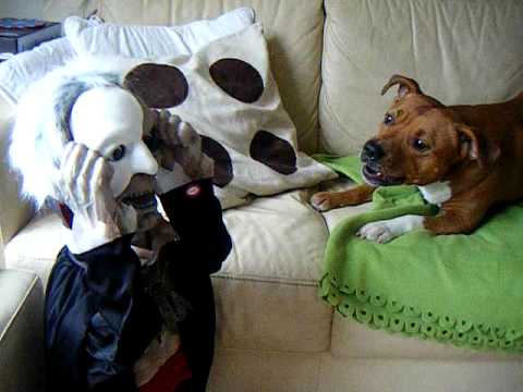 BYSON MEETS PHANTOM FACE RIPPER LOL