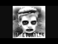 I Like Turtles REMIX 2010
