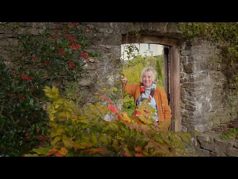 British Great Gardens Carol Klein Aberglasney Gardens Season by Season